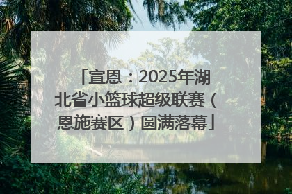 宣恩：2025年湖北省小篮球超级联赛（恩施赛区）圆满落幕