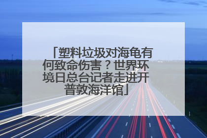 塑料垃圾对海龟有何致命伤害？世界环境日总台记者走进开普敦海洋馆