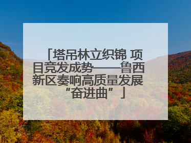 塔吊林立织锦 项目竞发成势——鲁西新区奏响高质量发展“奋进曲”