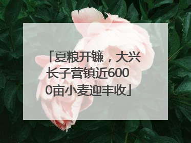 夏粮开镰，大兴长子营镇近6000亩小麦迎丰收
