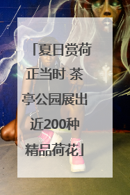 夏日赏荷正当时 茶亭公园展出近200种精品荷花