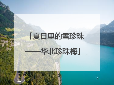 夏日里的雪珍珠——华北珍珠梅