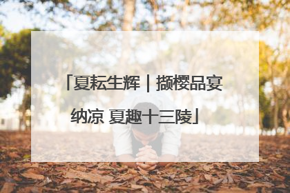 夏耘生辉｜撷樱品宴纳凉 夏趣十三陵