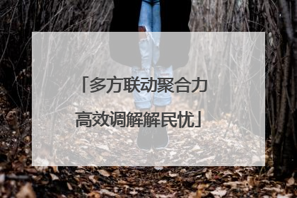 多方联动聚合力 高效调解解民忧