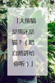 大熊猫是熊还是猫？（把自然讲给你听）