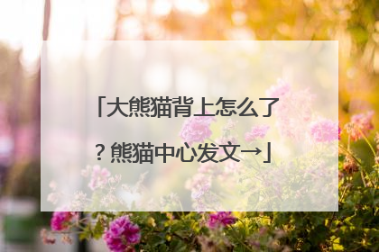 大熊猫背上怎么了？熊猫中心发文→