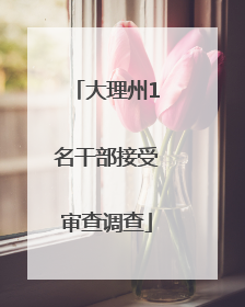 大理州1名干部接受审查调查
