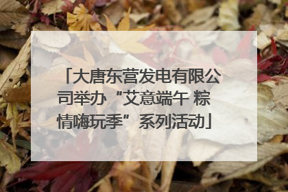 大唐东营发电有限公司举办“艾意端午 粽情嗨玩季”系列活动