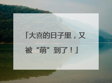 大喜的日子里，又被“萌”到了！