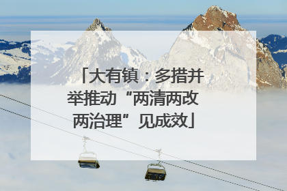 大有镇：多措并举推动“两清两改两治理”见成效