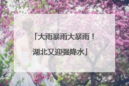 大雨暴雨大暴雨！湖北又迎强降水