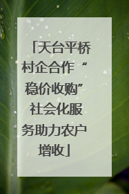 天台平桥村企合作“稳价收购” 社会化服务助力农户增收