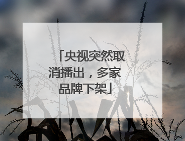 央视突然取消播出，多家品牌下架