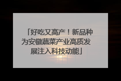 好吃又高产！新品种为安徽蔬菜产业高质发展注入科技动能