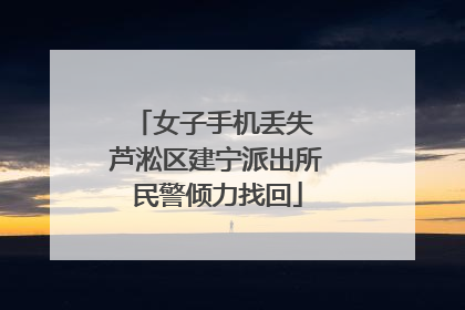 女子手机丢失 芦淞区建宁派出所民警倾力找回