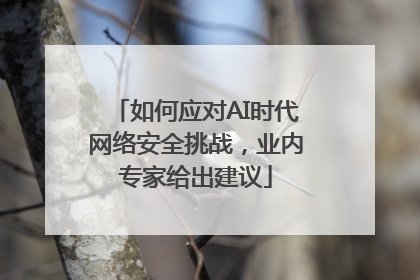 如何应对AI时代网络安全挑战，业内专家给出建议