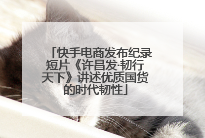 快手电商发布纪录短片《许昌发·韧行天下》讲述优质国货的时代韧性
