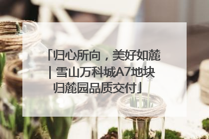 归心所向，美好如麓｜雪山万科城A7地块归麓园品质交付