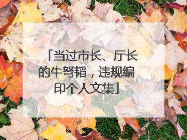 当过市长、厅长的牛弩韬，违规编印个人文集