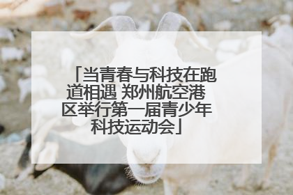 当青春与科技在跑道相遇 郑州航空港区举行第一届青少年科技运动会