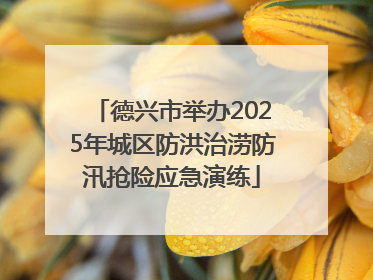 德兴市举办2025年城区防洪治涝防汛抢险应急演练