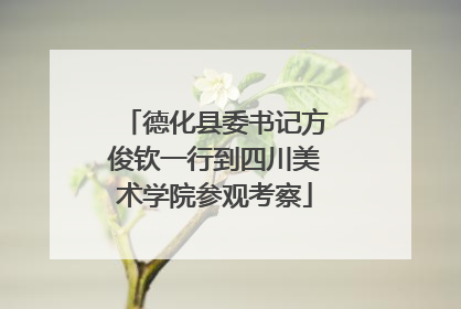 德化县委书记方俊钦一行到四川美术学院参观考察