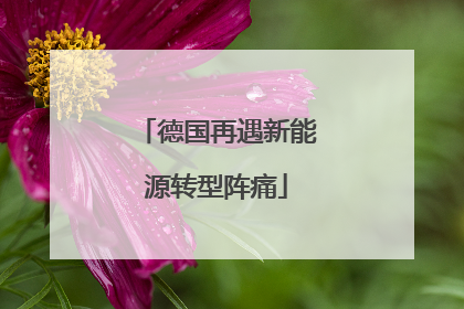 德国再遇新能源转型阵痛