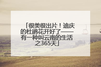 很美很出片！迪庆的杜鹃花开好了——有一种叫云南的生活之365天