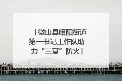 微山县昭阳街道第一书记工作队助力“三夏”防火