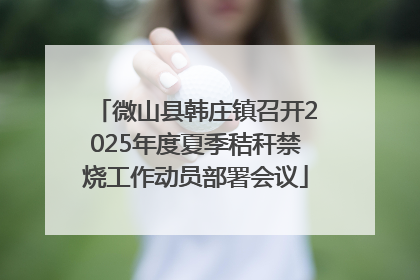 微山县韩庄镇召开2025年度夏季秸秆禁烧工作动员部署会议