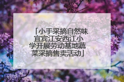 小手采摘自然味 宜宾江安西江小学开展劳动基地蔬菜采摘售卖活动