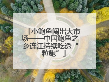 小鲍鱼闯出大市场——中国鲍鱼之乡连江持续吃透“一粒鲍”