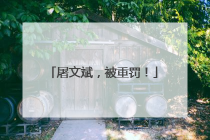 屠文斌，被重罚！