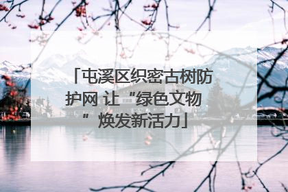 屯溪区织密古树防护网 让“绿色文物”焕发新活力
