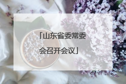 山东省委常委会召开会议