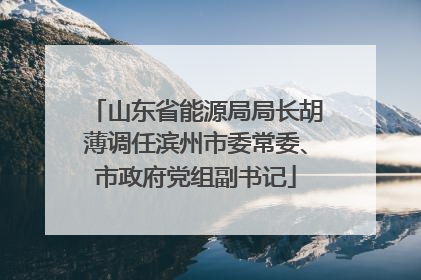 山东省能源局局长胡薄调任滨州市委常委、市政府党组副书记