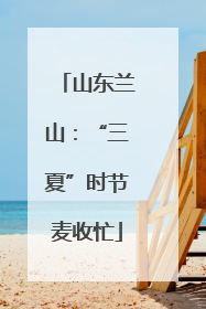 山东兰山：“三夏”时节麦收忙
