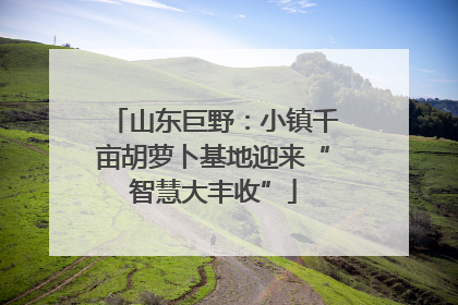 山东巨野：小镇千亩胡萝卜基地迎来“智慧大丰收”