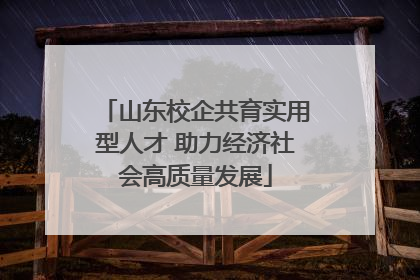山东校企共育实用型人才 助力经济社会高质量发展