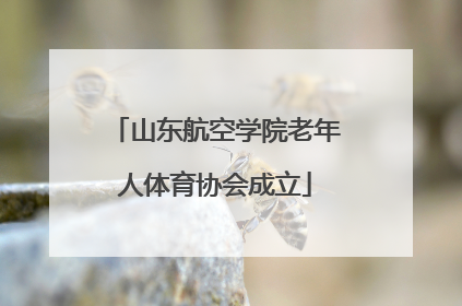 山东航空学院老年人体育协会成立