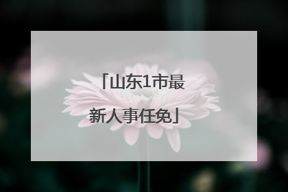 山东1市最新人事任免