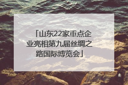 山东22家重点企业亮相第九届丝绸之路国际博览会