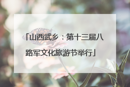 山西武乡：第十三届八路军文化旅游节举行