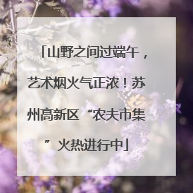 山野之间过端午，艺术烟火气正浓！苏州高新区“农夫市集”火热进行中