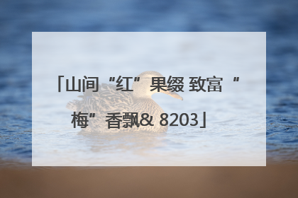 山间“红”果缀 致富“梅”香飘& 8203