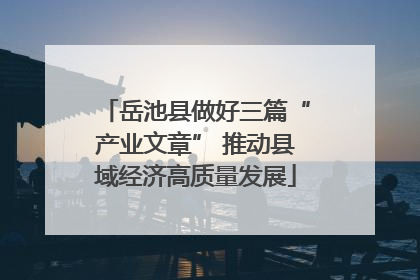岳池县做好三篇“产业文章” 推动县域经济高质量发展