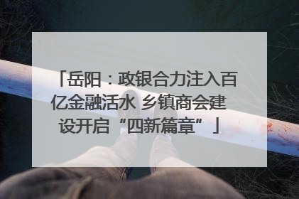 岳阳：政银合力注入百亿金融活水 乡镇商会建设开启“四新篇章”