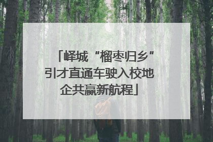 峄城“榴枣归乡”引才直通车驶入校地企共赢新航程