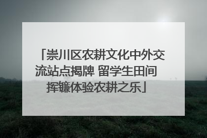 崇川区农耕文化中外交流站点揭牌 留学生田间挥镰体验农耕之乐