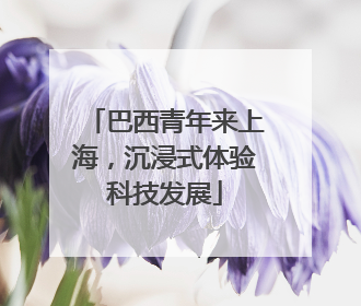 巴西青年来上海，沉浸式体验科技发展
